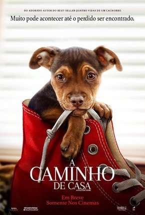 A Caminho de Casa - A Dogs Way Home Torrent Download Dublado / Dual Áudio