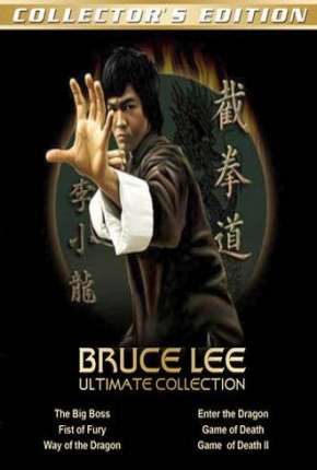 Bruce Lee - Coleção com Todos os Filmes Torrent Download Dublado / Dual Áudio