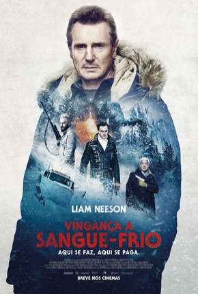 Vingança a Sangue Frio - Legendado Torrent Download 