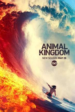 Animal Kingdom - 4ª Temporada Legendada Torrent Download 