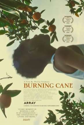 Burning Cane - Legendado Torrent Download 