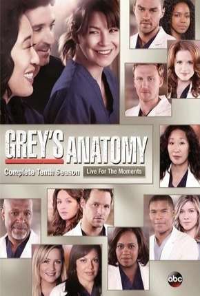 Greys Anatomy - 10ª Temporada - Completa Torrent Download Dublada / Dual Áudio