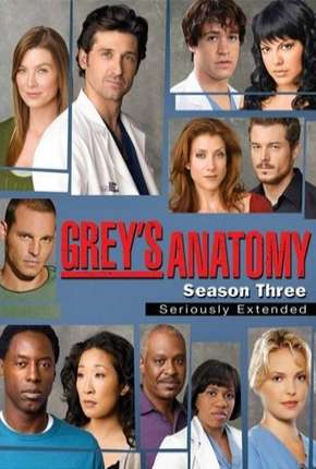 Greys Anatomy - 3ª Temporada - Completa Torrent Download Dublada / Dual Áudio