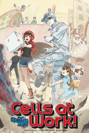 Hataraku Saibou - Cells at Work Torrent Download Legendado