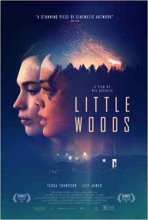 Little Woods - Legendado Torrent Download 