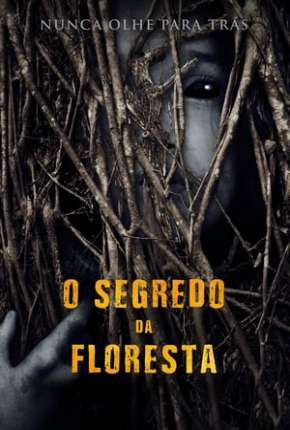 O Segredo da Floresta - Legendado Torrent Download 