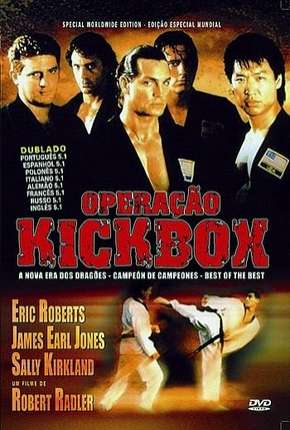 Operação Kickbox Torrent Download Dublado / Dual Áudio