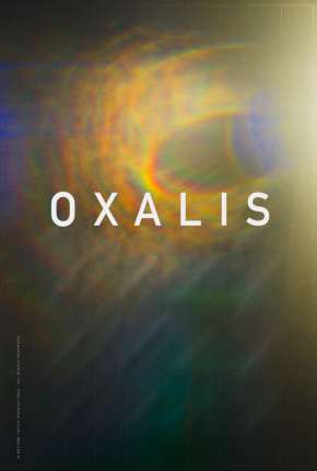 Oxalis - Legendado Torrent Download 