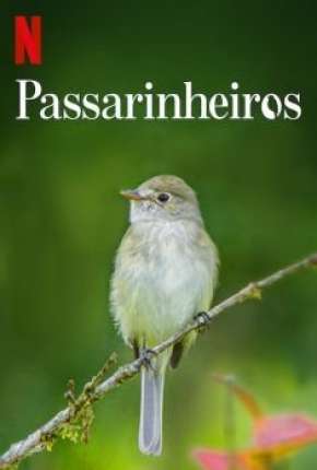 Passarinheiros - Birders Torrent Download Dublado / Dual Áudio