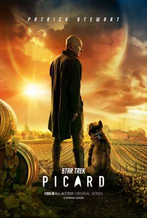 Star Trek - Picard - 1ª Temporada Torrent Download Dublada / Dual Áudio