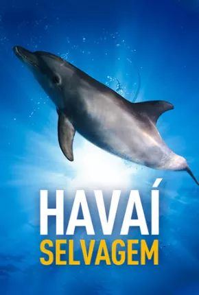 Havaí Selvagem  Download Dublada