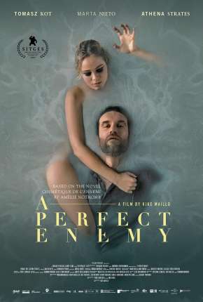 A Perfect Enemy - Legendado Torrent Download 