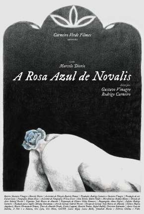 A Rosa Azul de Novalis Torrent Download Nacional