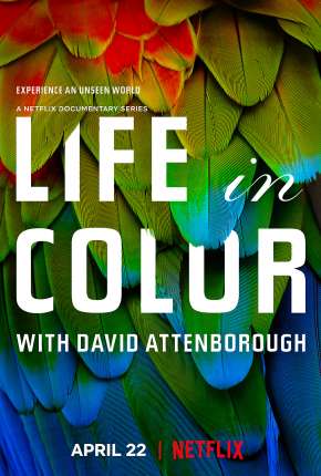 A Vida em Cores com David Attenborough - 1ª Temporada Completa Torrent Download Dublada / Dual Áudio