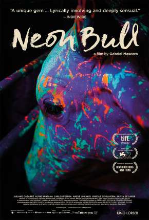 Boi Neon Nacional Torrent Download Nacional