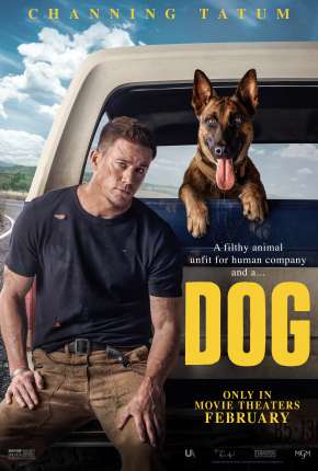 Dog - A Aventura de Uma Vida Torrent Download Dublado / Dual Áudio