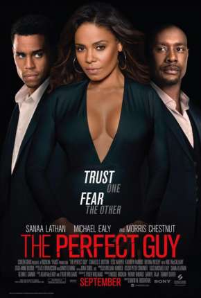 O Cara Perfeito - The Perfect Guy Torrent Download Dublado