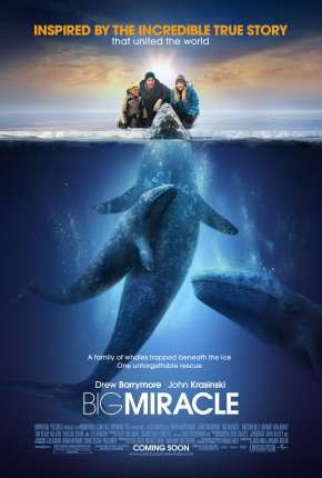 O Grande Milagre - Big Miracle Torrent Download Dublado