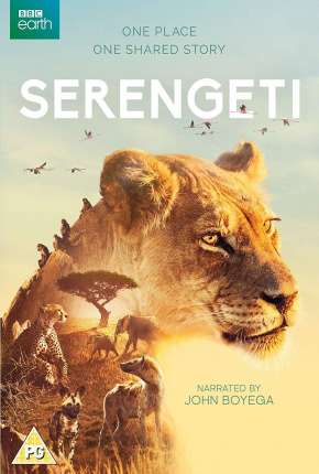 Serengeti - 2ª Temporada Completa Legendada Torrent Download 