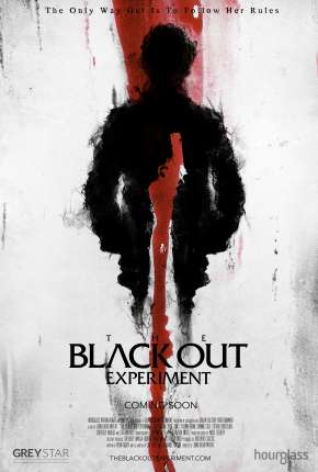 The Blackout Experiment - Legendado Torrent Download 