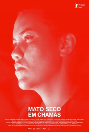 Mato Seco em Chamas Torrent Download Nacional