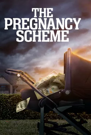 The Pregnancy Scheme - Legendado Torrent Download 