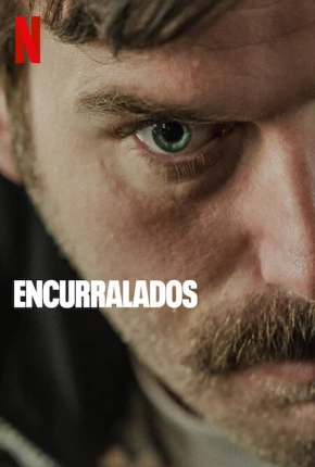 Encurralados - Boga Boga Torrent Download Dublado / Dual Áudio