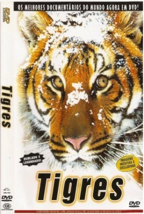 Tigres / Na Sombra do Tigre  Download Dublado