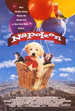 Napoleon, as Aventuras de um Cãozinho Valente  Download Dublado / Dual Áudio