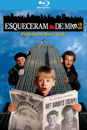 Esqueceram de Mim 2 - Perdido em Nova York BluRay  Download Dublado / Dual Áudio