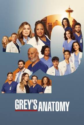 Anatomia de Grey - 20ª Temporada Legendada Torrent Download 