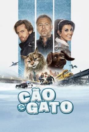 Cão e Gato Torrent Download Dublado / Dual Áudio