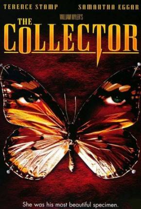 O Colecionador / The Collector  Download Dublado