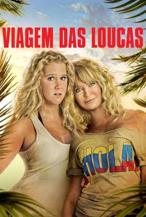 Viagem das Loucas / Snatched  Download Dublado / Dual Áudio