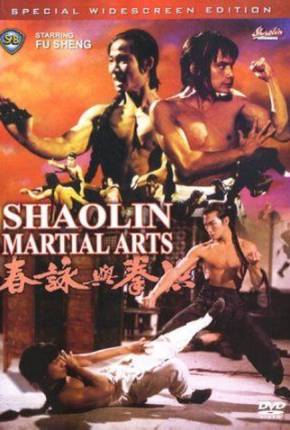 As Artes Marciais de Shaolin / Hong quan yu yong chun  Download Dublado / Dual Áudio