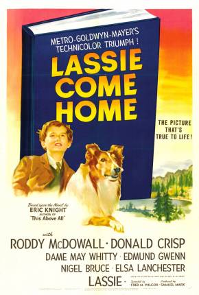 Lassie - A Força do Coração Torrent Download Dublado / Dual Áudio