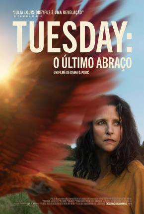 Tuesday - O Último Abraço - CAM - Legendado e Dublado Não Oficial Torrent Download 