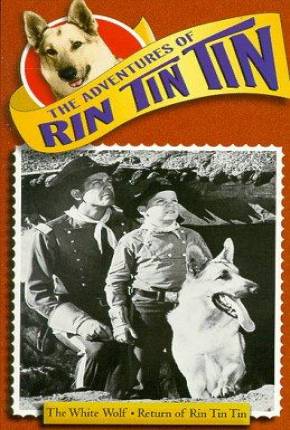 As Aventuras de Rin Tin Tin - 1ª Temporada  Download Dublada