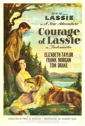 A Coragem de Lassie / Courage of Lassie  Download Dublado