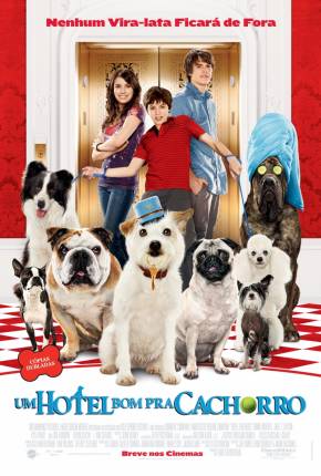 Um Hotel Bom Pra Cachorro (1080P)  Download Dublado / Dual Áudio